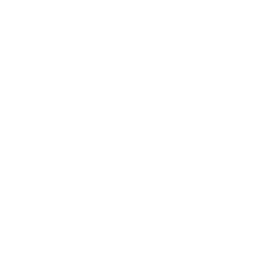Earthquake icon