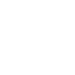 Wall of bricks icon