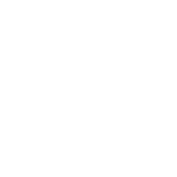 Bridge icon