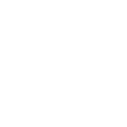 Cog wheel silhouette icon