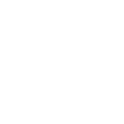 Light bulb icon