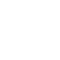 Rings icon