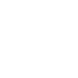 Fireworks icon